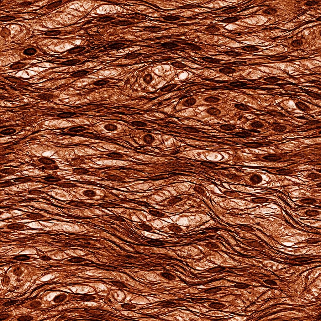 Texture éditoriale évoquant le temps et la continuité d’observation de la peau.